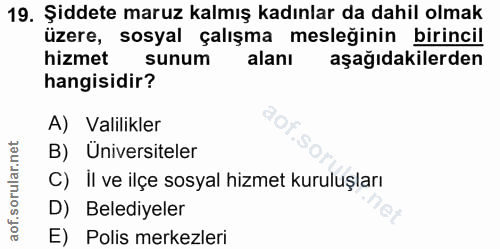 19. soru: Şiddete maruz kalmış kadınlar da dahil olmak üzere, sosyal çalışma mesleğinin birincil hizmet sunum alanı aşağıdakile…