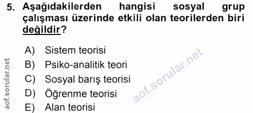 5. soru: Aşağıdakilerden hangisi sosyal grup çalışması üzerinde etkili olan teorilerden biri değildir? A) Sistem teorisi B) Ps…