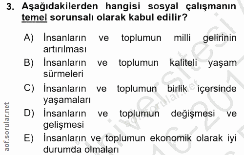 3. soru: Aşağıdakilerden hangisi sosyal çalışmanın temel sorunsalı olarak kabul edilir? A) Insanların ve toplumun milli geliri…