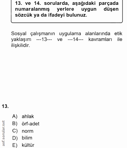 13. soru: ve 14. sorularda, aşağıdaki parçada numaralanmış yerlere uygun düşen sözcük ya da ifadeyi bulunuz. Sosyal çalışmanın…