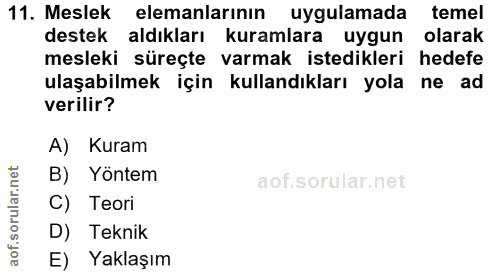 11. soru: Meslek elemanlarının uygulamada temel destek aldıkları kuramlara uygun olarak mesleki süreçte varmak istedikleri hede…