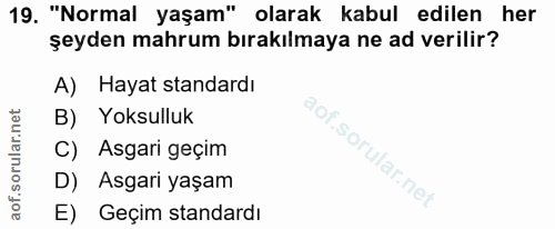 19. soru: "Normal yaşam" olarak kabul edilen her şeyden mahrum bırakılmaya ne ad verilir? A) Hayat standardı Yoksulluk C) Asgar…
