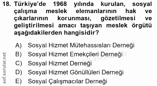 18. soru: Türkiye'de 1968 yılında kurulan, sosyal çalışma meslek elemanlarının hak ve çıkarlarının korunması, gözetilmesi ve ge…