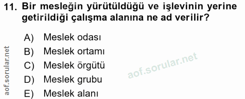 11. soru: Bir mesleğin yürütüldüğü ve işlevinin yerine getirildiği çalışma alanına ne ad verilir? A) Meslek odası Meslek ortamı…