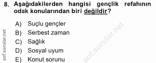 8. soru: Aşağıdakilerden hangisi gençlik refahının odak konularından biri değildir? A) Suçlu gençler lar.ne B) Serbest zaman C…