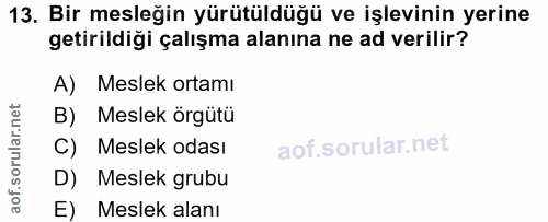 13. soru: Bir mesleğin yürütüldüğü ve işlevinin yerine getirildiği çalışma alanına ne ad verilir? A) Meslek ortamı B) Meslek ör…