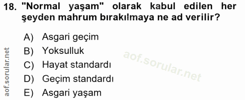 18. soru: "Normal yaşam" olarak kabul edilen her şeyden mahrum bırakılmaya ne ad verilir? A) Asgari geçim B) Yoksulluk C) Hayat…
