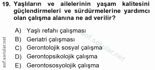 19. soru: Yaşlıların ve ailelerinin yaşam kalitesini güçlendirmeleri ve sürdürmelerine yardımcı olan çalışma alanına ne ad veri…