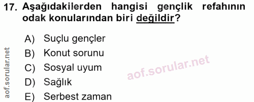 17. soru: Aşağıdakilerden hangisi gençlik refahının odak konularından biri değildir? A) Suçlu gençler B) Konut sorunu C) Sosyal…