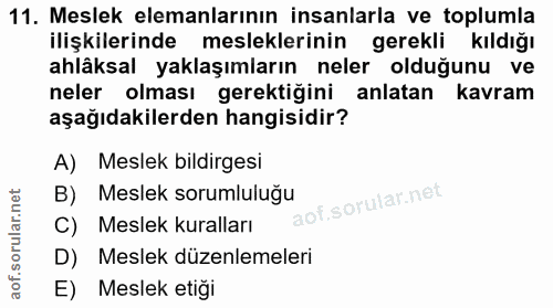 11. soru: Meslek elemanlarının insanlarla ve toplumla ilişkilerinde mesleklerinin gerekli kıldığı ahlâksal yaklaşımların neler…