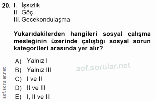 20. soru: I. Işsizlik II. Góç IlI. Gecekondulaşma Yukarıdakilerden hangileri sosyal çalışma mesleğinin üzerinde çalıştığı sosya…