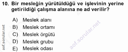 10. soru: Bir mesleğin yürütüldüğü ve işlevinin yerine getirildiği çalışma alanına ne ad verilir? A) Meslek alanı B) Meslek ort…