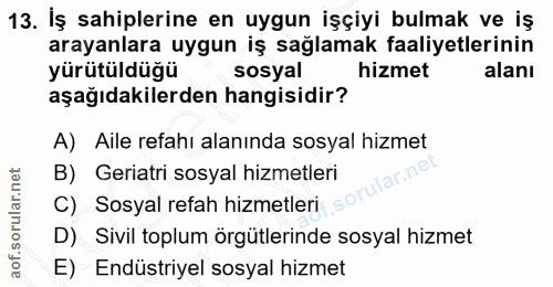 13. soru: İş sahiplerine en uygun işçiyi bulmak ve iş arayanlara uygun iş sağlamak faaliyetlerinin yürütüldüğü sosyal hizmet al…