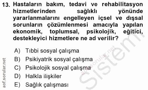 13. soru: Hastaların bakım, tedavi ve rehabilitasyon hizmetlerinden sağlıklı yönünde yararlanmalarını engelleyen içsel ve dışsa…