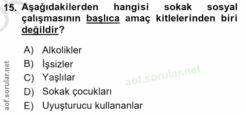 15. soru: Aşağıdakilerden hangisi sokak sosyal çalışmasının başlıca amaç kitlelerinden biri değildir? A) Alkolikler B) İşsizler…