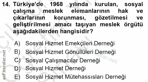 14. soru: Türkiye'de 1968 yılında kurulan, sosyal çalışma meslek elemanlarinin hak ve çıkarlarının korunması, gözetilmesi ve ge…
