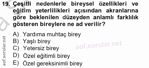 19. soru: Çeşitli nedenlerle bireysel özellikleri ve eğitim yeterlilikleri açısından akranlarına göre beklenilen düzeyden anlam…