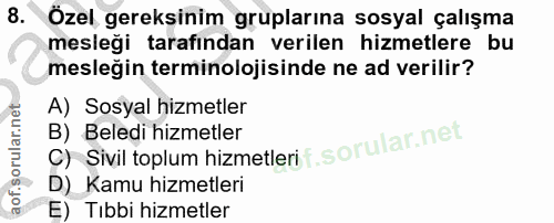 8. soru: Özel gereksinim gruplarına sosyal çalışma mesleği tarafından verilen hizmetlere bu mesleğin terminolojisinde ne ad ve…
