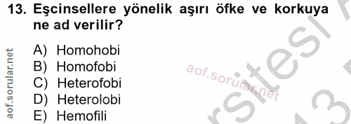 13. soru: Eşcinsellere yönelik aşırı öfke ve korkuya ne ad verilir? A) Homohobi B) Homofobi aof sorunane C) Heterofobi D) Heter…