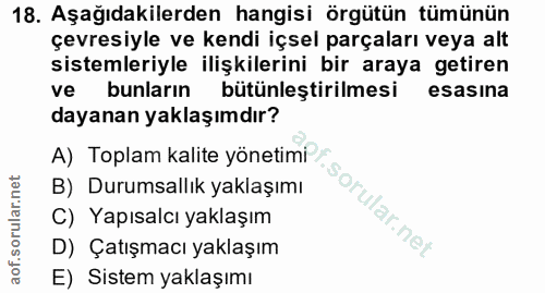 18. soru: Aşağıdakilerden hangisi örgütün tümünün çevresiyle ve kendi içsel parçaları veya alt sistemleriyle ilişkilerini bir a…