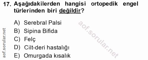 17. soru: Aşağıdakilerden hangisi ortopedik engel türlerinden biri değildir? A) Serebral Palsi B) Sipina Bifida C) Felç D) Cilt…