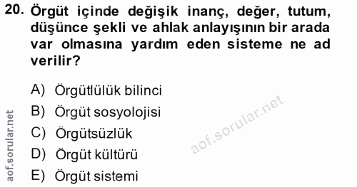 20. soru: Örgüt içinde değişik inanç, değer, tutum, düşünce şekli ve ahlak anlayışının bir arada var olmasına yardım eden siste…