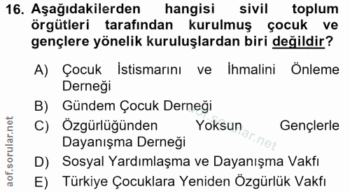 16. soru: Aşağıdakilerden hangisi sivil toplum örgütleri tarafından kurulmuş çocuk ve gençlere yönelik kuruluşlardan biri değil…