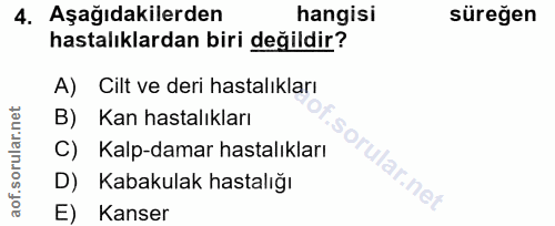 4. soru: Aşağıdakilerden hangisi süreğen hastalıklardan biri değildir? A) Cilt ve deri hastalıkları B) Kan hastalıkları C) Kal…