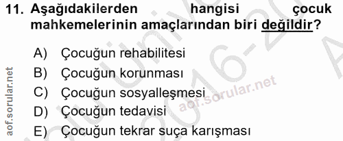 11. soru: Aşağıdakilerden hangisi çocuk mahkemelerinin amaçlarından biri değildir? A) Çocuğun rehabilitesi C) Çocugun sosyalleş…