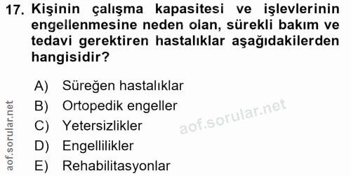 17. soru: Kişinin çalışma kapasitesi ve işlevlerinin engellenmesine neden olan, sürekli bakım ve tedavi gerektiren hastalıklar…