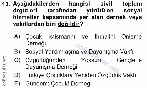 13. soru: Aşağıdakilerden hangisi sivil toplum örgütleri tarafindan yürütülen sosyal hizmetler kapsamında yer alan dernek veya…