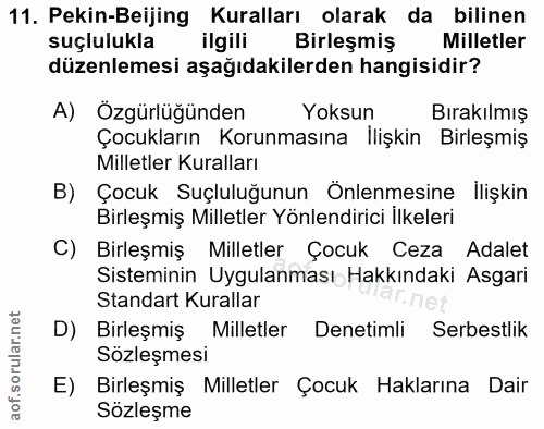 11. soru: Pekin-Beijing Kuralları olarak da bilinen suçlulukla ilgili Birleşmiş Milletler düzenlemesi aşağıdakilerden hangisidi…