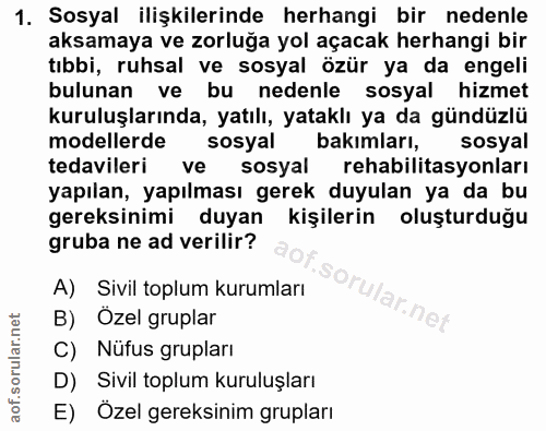 1. soru: Sosyal ilişkilerinde herhangi bir nedenle aksamaya ve zorluğa yol açacak herhangi bir tıbbi, ruhsal ve sosyal özür ya…