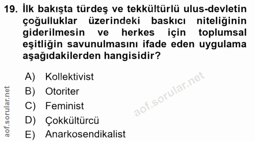 19. soru: İlk bakışta türdeş ve tekkültürlü ulus-devletin çoğulluklar üzerindeki baskıcı niteliğinin giderilmesin ve herkes içi…