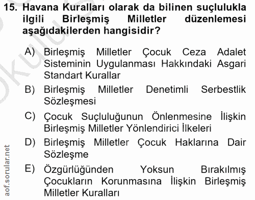 15. soru: Havana Kuralları olarak da bilinen suçlulukla ilgili Birleşmiş Milletler düzenlemesi aşağıdakilerden hangisidir? A) B…