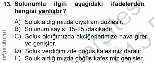 13. soru: Solunumla ilgili aşağıdaki ifadelerden hangisi yanlıştır? A) Soluk aldığımızda diyafram düzleşir. B) Solunum sayısı 1…