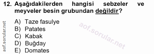 12. soru: Aşağıdakilerden hangisi sebzeler ve meyveler besin grubundan değildir? A) Taze fasulye B) Patates C) Kabak D) Buğday…