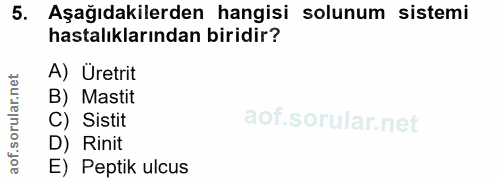 5. soru: Aşağıdakilerden hangisi solunum sistemi hastalıklarından biridir? A) Üretrit B) Mastit C) Sistit D) Rinit E) Peptik u…