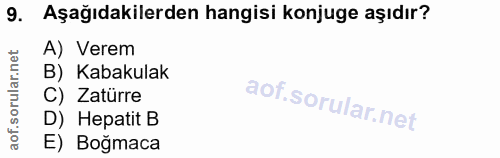 9. soru: Aşağıdakilerden hangisi konjuge aşıdır? A) Verem B) Kabakulak C) Zatürre D) Hepatit B E) Boğmaca