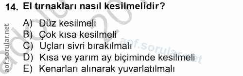 14. soru: El tırnakları nasıl kesilmelidir? A) Düz kesilmeli B) Çok kısa kesilmeli C) Uçları sivri bırakılmalı D) Kısa ve yarım…