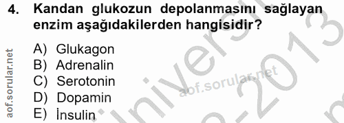4. soru: Kandan glukozun depolanmasını sağlayan enzim aşağıdakilerden hangisidir? A) Glukagon B) Adrenalin C) Serotonin lof.so…