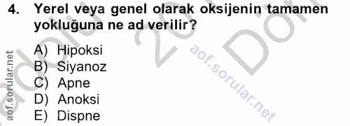 4. soru: Yerel veya genel olarak oksijenin tamamen yokluğuna ne ad verilir? A) Hipoksi B) Siyanoz C) Apne D) Anoksi E) Dispne