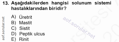 13. soru: Aşağıdakilerden hangisi solunum sistemi hastalıklarından biridir? A) Uretrit B) Mastit C) Sistit D) Peptik ulcus E) R…