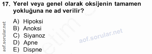 17. soru: Yerel veya genel olarak oksijenin tamamen yokluğuna ne ad verilir? A) Hipoksi B) Anoksi C) Siyanoz D) Apne E) Dispne