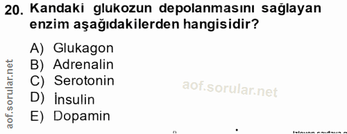 20. soru: Kandaki glukozun depolanmasını sağlayan enzim aşağıdakilerden hangisidir? A) Glukagon B) Adrenalin C) Serotonin D) İn…
