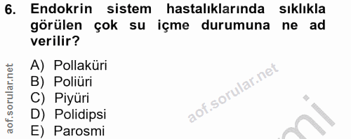 6. soru: Endokrin sistem hastalıklarında sıklıkla görülen çok su içme durumuna ne ad verilir? A) Pollaküri B) Poliüri C) Piyür…