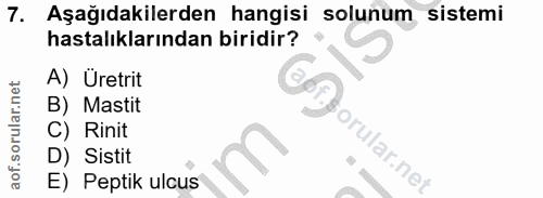 7. soru: Aşağıdakilerden hangisi solunum sistemi hastalıklarından biridir? A) Üretrit B) Mastit C) Rinit D) Sistit E) Peptik u…
