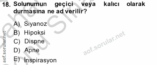 18. soru: Solunumun geçici veya Kalıcı olarak durmasına ne ad verilir? A), Siyanoz B) Hipoksi C) Dispne D) Apne E) Inspirasyon