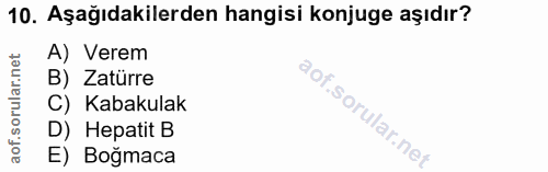 10. soru: Aşağıdakilerden hangisi konjuge aşıdır? et A) Verem B) Zatürre aof.sorular.ni C) Kabakulak D) Hepatit B E) Boğmaca