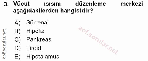 3. soru: Vücut IsIsInı düzenleme merkezi aşağıdakilerden hangisidir? A) Sürrenal B) Hipofiz C) Pankreas D) Tiroid E) Hipotalamus